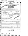 Town Election Results 3-4-25