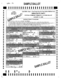 Download PDF file August Primary Democratic Election Results 08-11-2026
